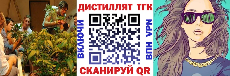 магазин продажи наркотиков  Пошехонье  Дистиллят ТГК концентрат 
