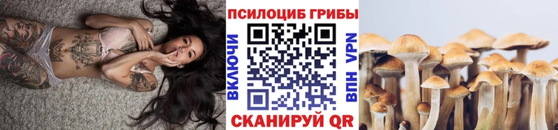купить наркоту  Пошехонье  Псилоцибиновые грибы прущие грибы 